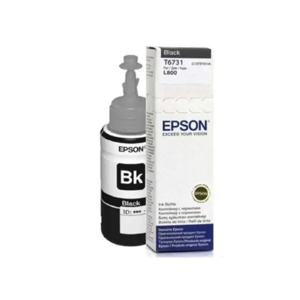 Epson T6731 Black Ink bottle