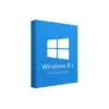 Windows 8.1 Professional